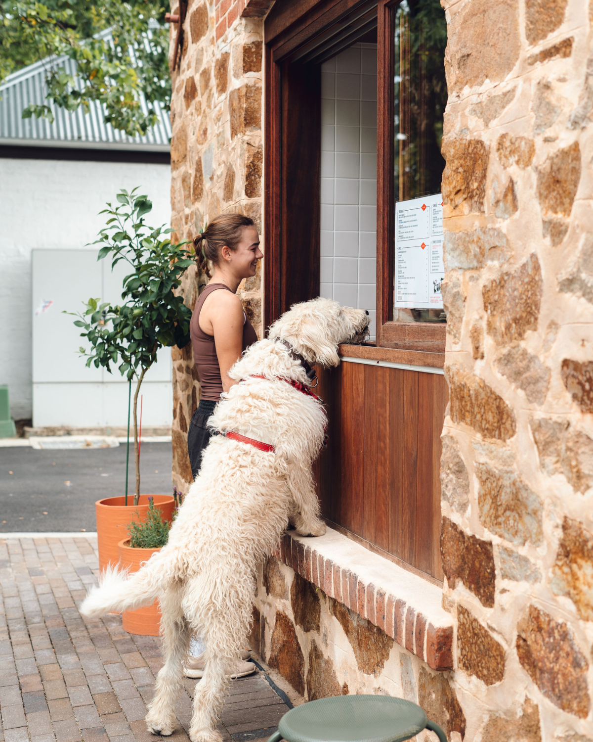 A dog leaning on the Ernest Deli takeaway window